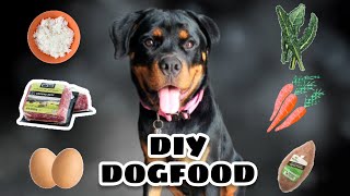 How To Make Easy DIY Homemade Dog Food