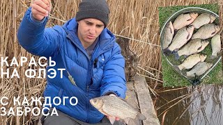 Шок | Карась клюёт с каждого заброса | Рыбалка на флэт весной