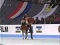 Gritshuk and Platov 1991