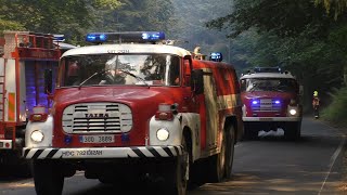 Waldbrand im Nationalpark Böhmische Schweiz (CZ) Einsatzfahrten+Doku