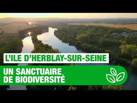 L’Ile d’Herblay-sur-Seine, un sanctuaire de biodiversité