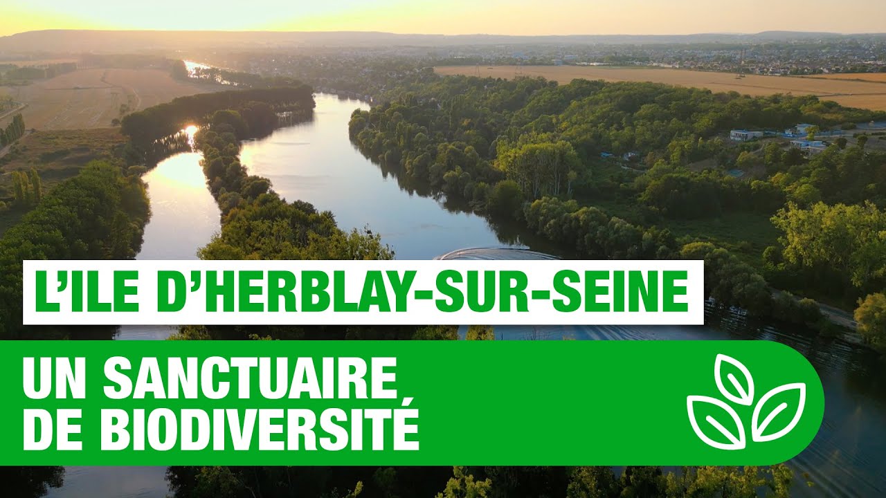 L’Ile d’HerblaysurSeine, un sanctuaire de biodiversité YouTube