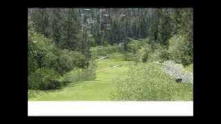 Chamber of Commerce Golf Tournament 2014
