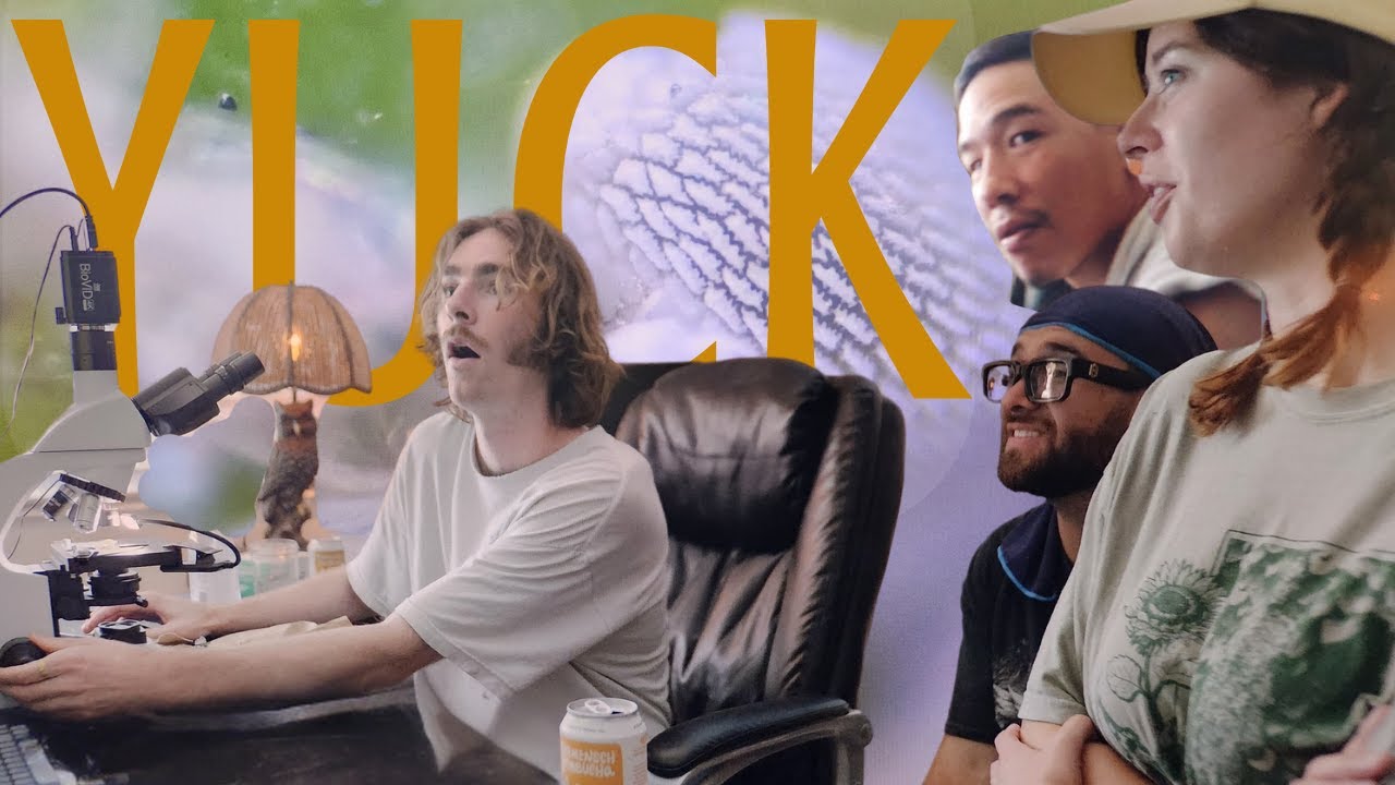 We Used a 4k Microscope For Macro Videography