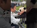 Cute Panda #panda #pandas #shorts #shortvideo #youtubeshorts #trending #viral #animals #aipanda #fyp