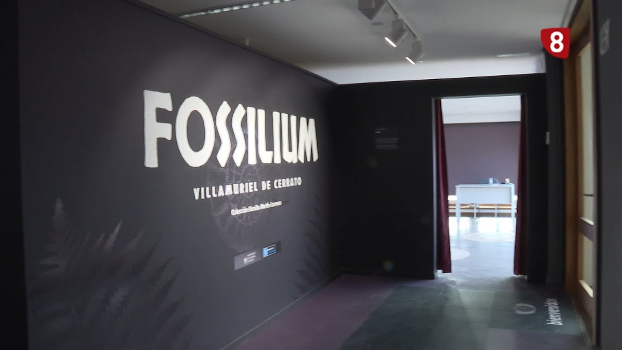 Con 'P' de provincia  FOSSILIUM