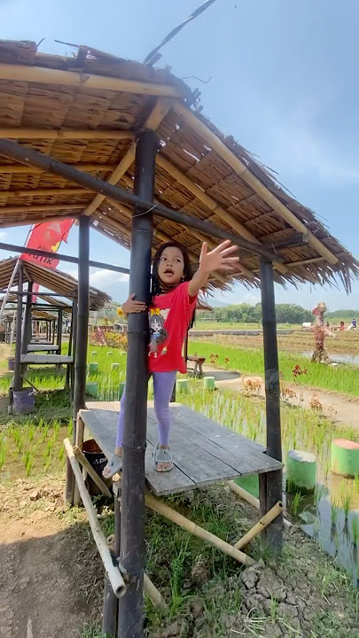 YASMIN MAIN DI GUBUG SAWAH #yasmin #sawah #kampung #desa #weekend #liburan
