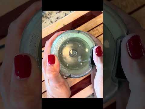 Harvesting an Aloe Vera Plant For Soap #aloevera #diyskincare #asmr #gardening