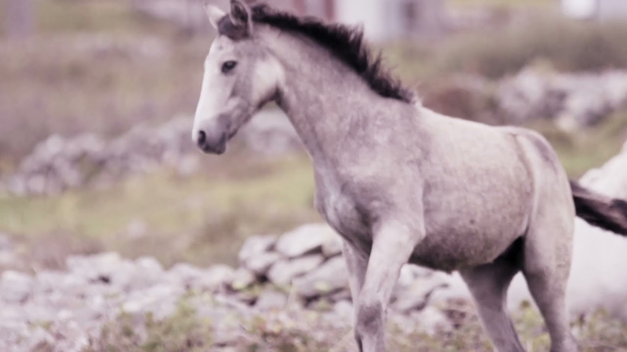 hip hop music | Space Age Hustle - Squadda B