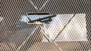 History Uncut - Leandra