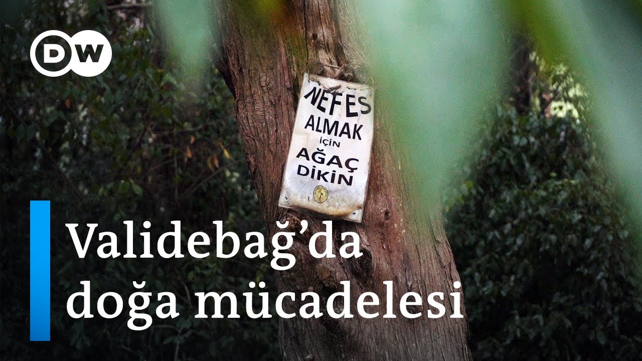 Validebağ Korusu’nda millet bahçesine tepki | 