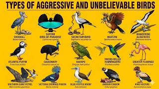 15 Unbelievable Birds You Wont Believe Actually Exist