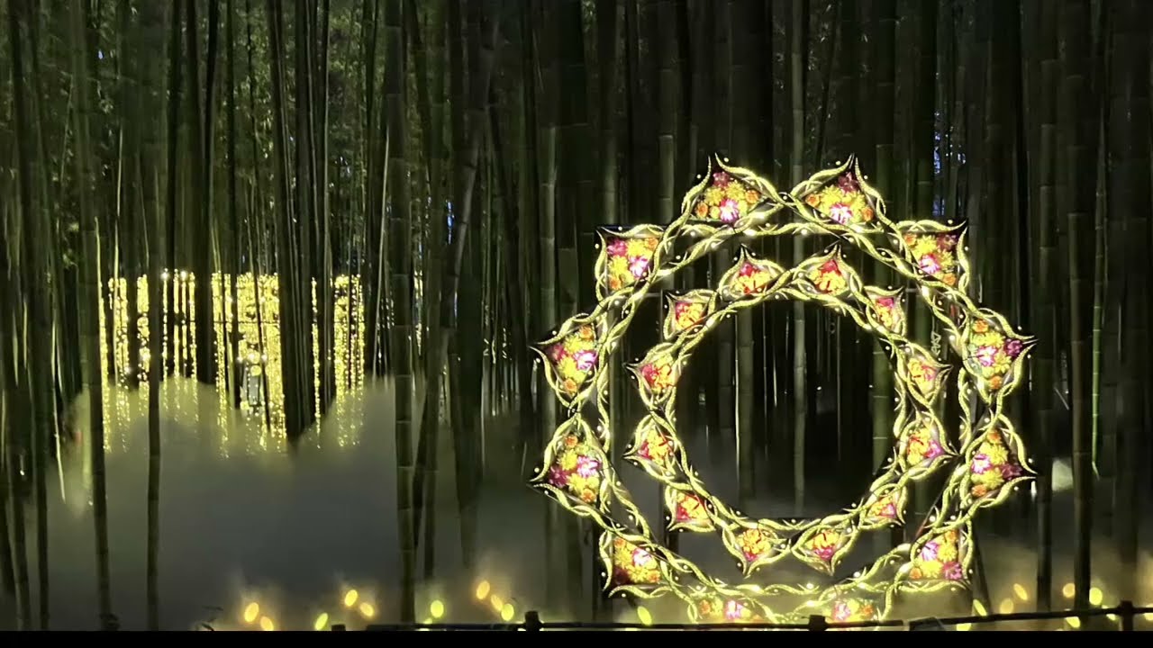 大型竹灯籠　〜〜和巡り〜〜 806. I went to Kyoto to see the bamboo lanterns. - YouTube