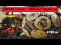 "ДЮСШ Глухів" - "Діброва" Дубовичі - 2 тайм. АРХІВ 2020 р.