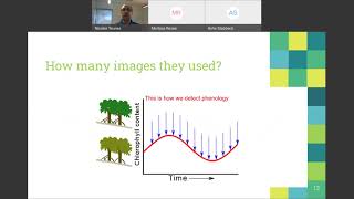 A Novel Approach To Modelling Mangrove Phenology From Satellite Images