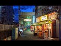 4K 60FPS HDR 🌆 Japan, Kawasaki, Mizonokuchi Evening Walk (and Train Ride)