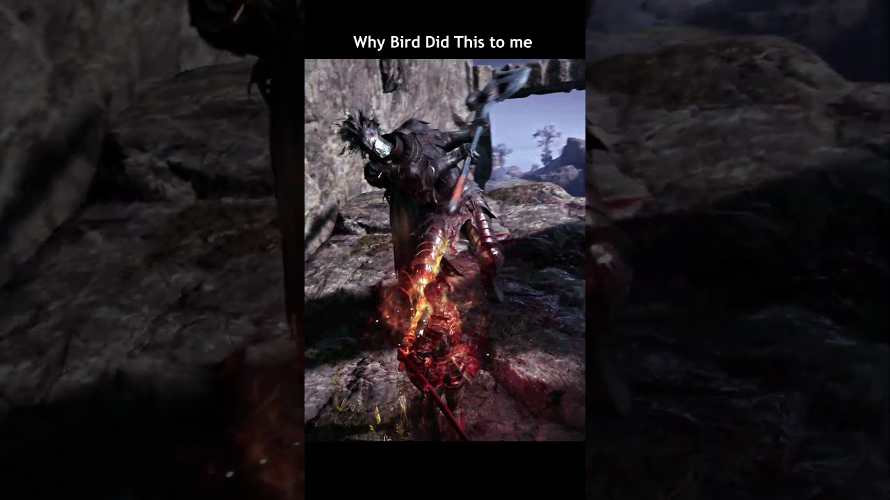 Fromsoft pls fix this bug 😤  