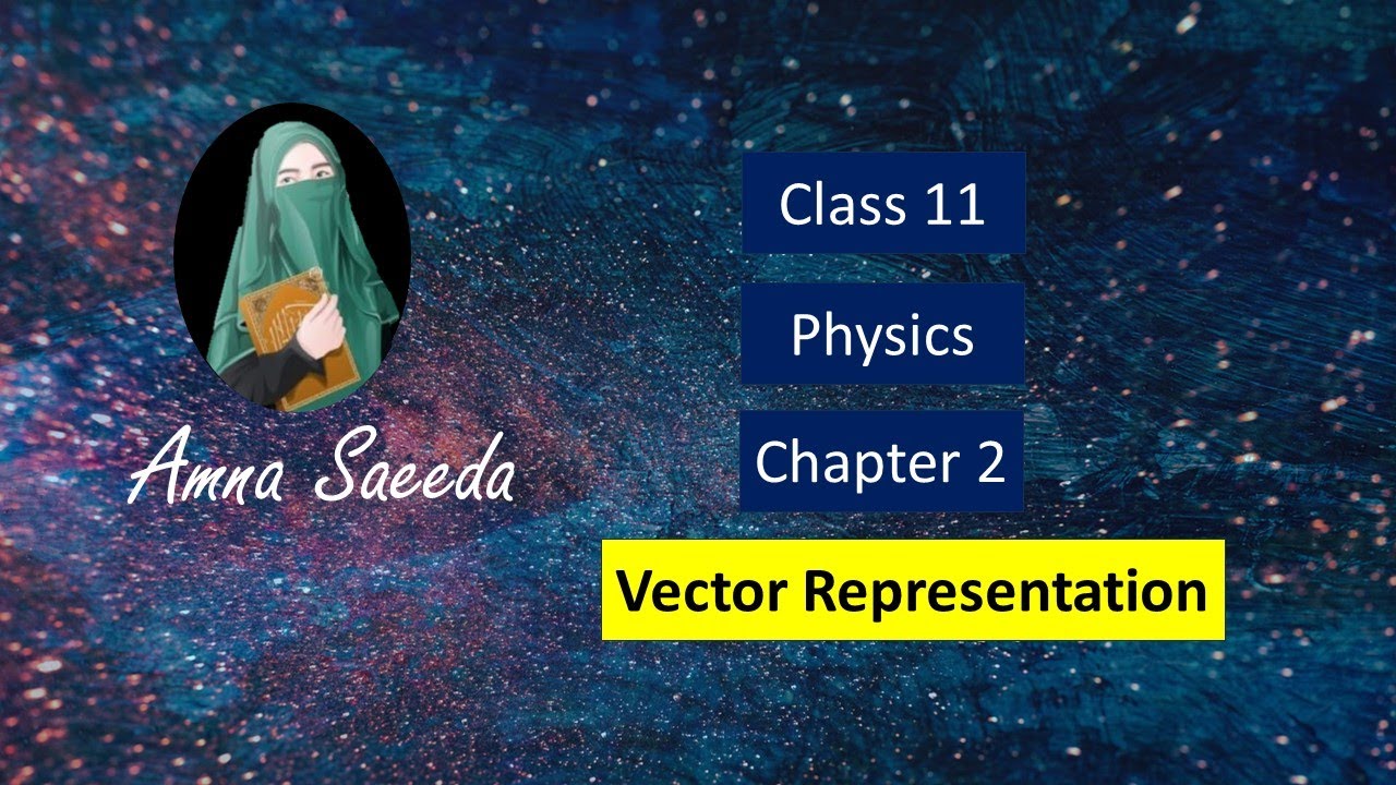 What Is Vector Representation