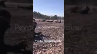 Iste Yigitler Işte Meydan