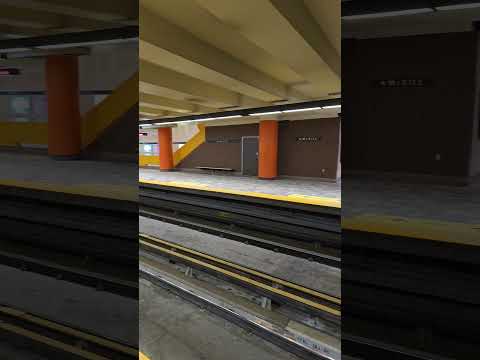 Fire alarm at McGill metro station