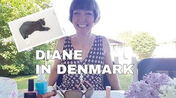 Flylady Zone 4 plus a 5 minute declutter!