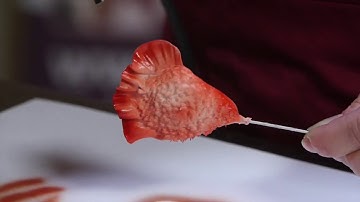 9   Colouring Cocks Comb or Celosia with Cassie Brown