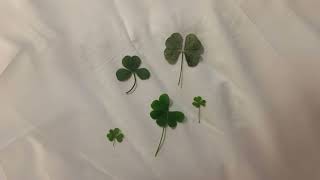 Download Lagu 행복이 가득하기를 바라요 ミ★ | 가사없는 플레이리스트 [𝐏𝐥𝐚𝐲𝐥𝐢𝐬𝐭] MP3