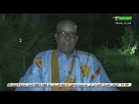 الاستقلال في عيون الفنانين