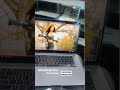 Apple laptop MacBook Pro i7 generation 16GB Ram 500gb SSD best price,