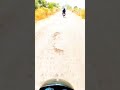 going to Bala Ji sarkar S.R. team | 3D wall design | #vlog #vairalshort #trending #shorts #short