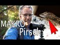 Foto-Praxis: Mit dem Sony 90mm Makro Geckos 🐸u. Eidechsen erfolgreich fotografieren!
