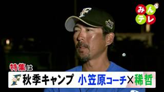 11月26日(火)みんテレ特集は「F秋季キャンプ 小笠原コーチ×稀哲」
