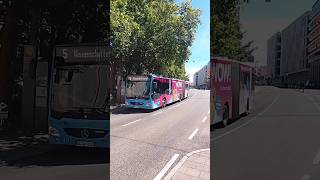SWU Verkehr MB Citaro C2 G Wagennummer 161 und 162 #busspotting #bw #germany #shorts