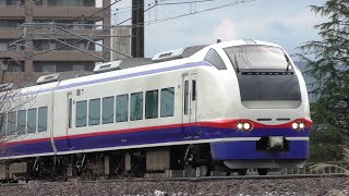 特急しらゆき2号新井行き【4K】E653系H203編成信越本線下り52M