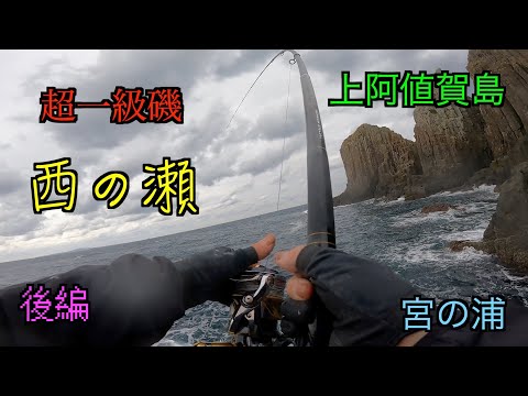 ヒラマサ爆釣❗️❗️[カゴ釣り]