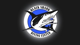 Black Shark Diving Center - Hurghada, Red Sea