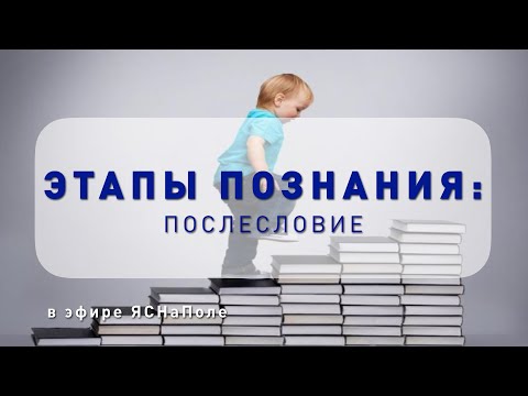 Видео: Какие этапы познания?