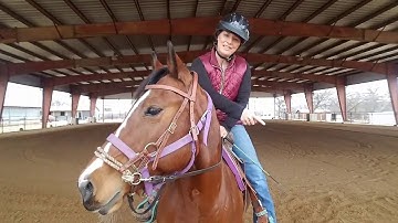 Working with a young green rescue mare bitless, loud sound and tractor desensitization training