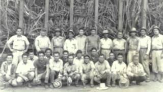 Filipino American Farm Workers in Hawaii(early 1900s)