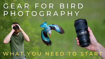 Buy This Gear to Start Bird Photography (on Any Budget)