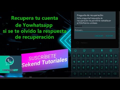 Vídeo: Com Recuperar La Contrasenya Si Heu Oblidat La Resposta A Una Pregunta