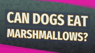 Can dogs eat marshmallows? Do Marshmallows Have Xylitol