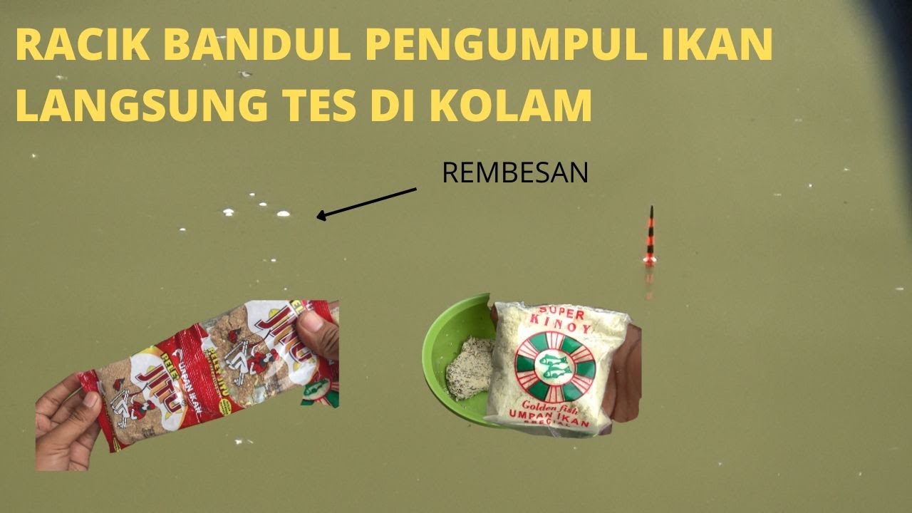 CARA MERACIK BANDUL PENGUMPUL IKAN MAS - UMPAN IKAN MAS RAME 
