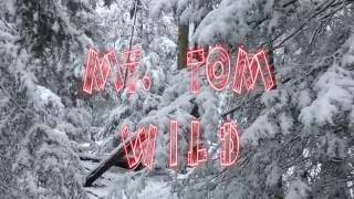 Mt Tom Wild:    Wildlife on the Mt Tom Range