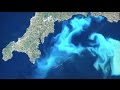 Conservation Challenges in Caribbean Oceans and the Impact of Invasive Species