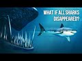 What If All Shark Species Suddenly Disappeared