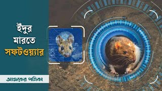 ভোডাফোনের সহযোগিতায়  ইঁদুর মারার সফটওয়্যার || Rat Control Software | Vodaphone | Ajker Patrika screenshot 3