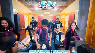 Banda Ellus Pulga Na Cueca Versão Lambadao Gasto 2025