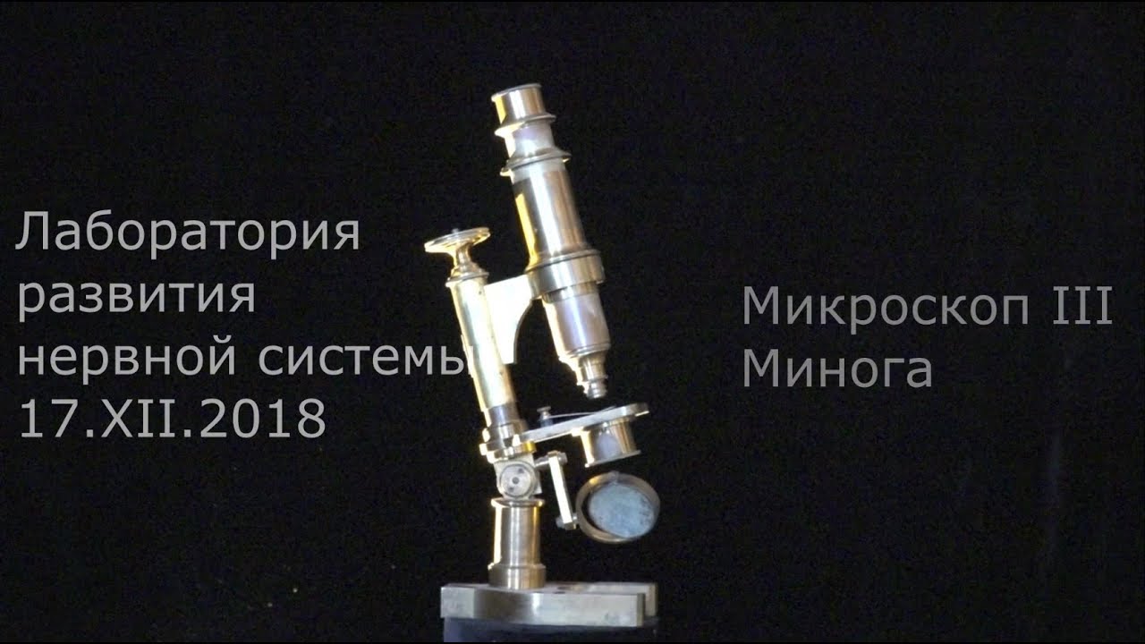 С. В. Савельев о развитии микроскопической техники. Часть 3. Минога ...