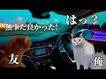 友達が何年経ってもドッキリでしたと言ってくれない話 #猫ミーム #猫マニ #ホラー#心霊